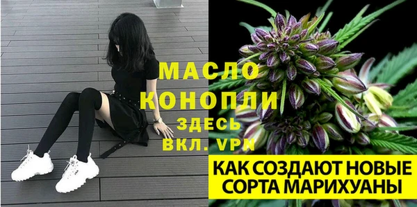 крисы Вяземский